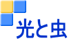 光と虫