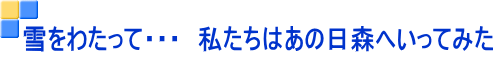 雪をわたって・・・　私たちはあの日森へいってみた